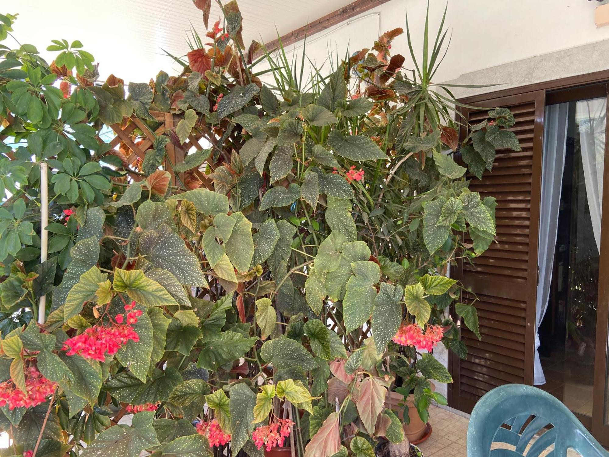 A Casa Da Maria Villa Luz de Tavira Dış mekan fotoğraf